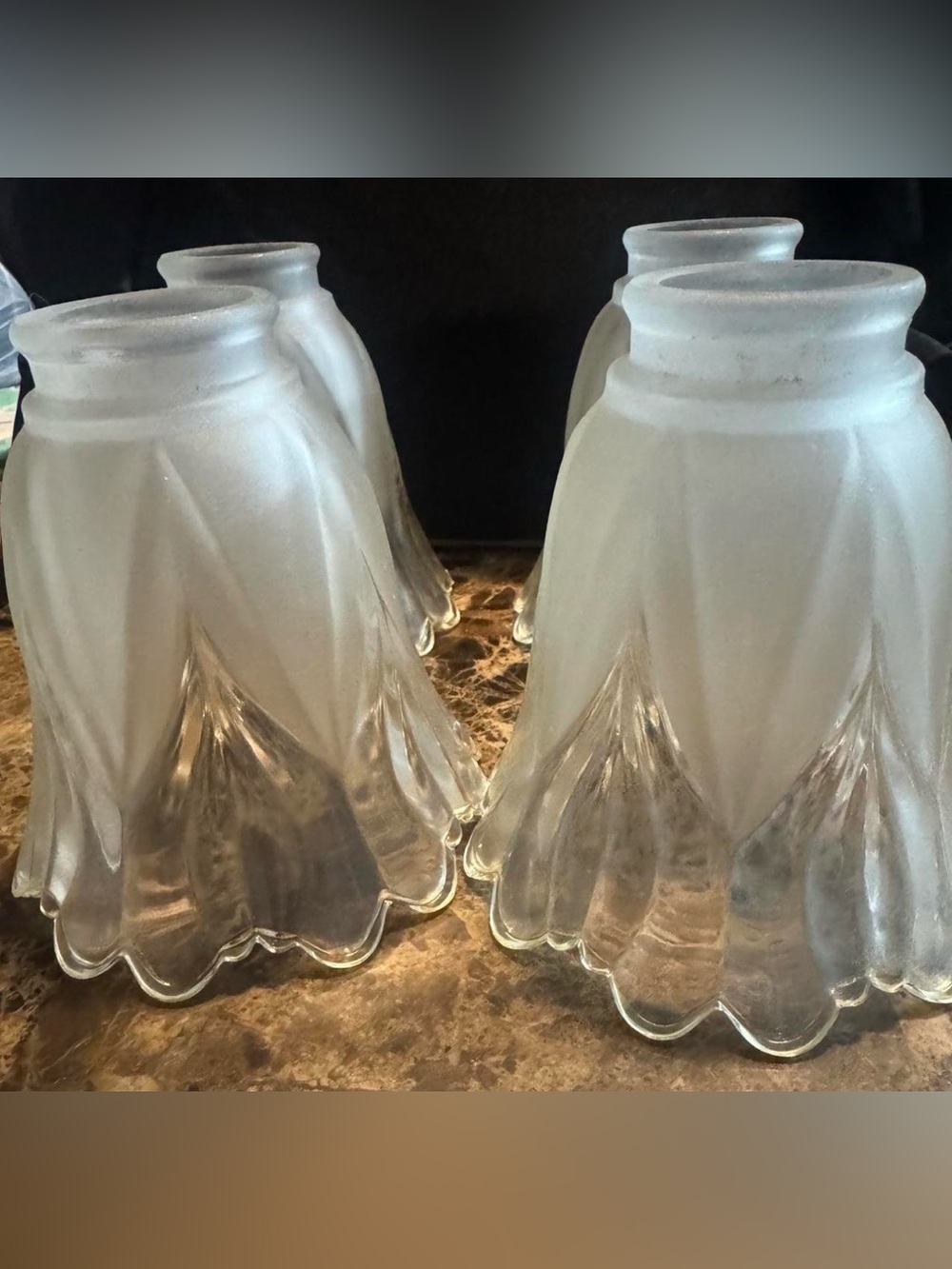 Frosted Glass Tulip-Style Vase Shades - Frost White (Set of 4)